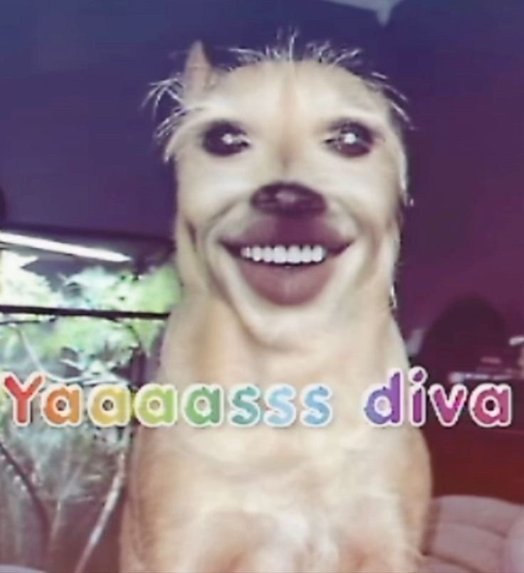 tubituu444