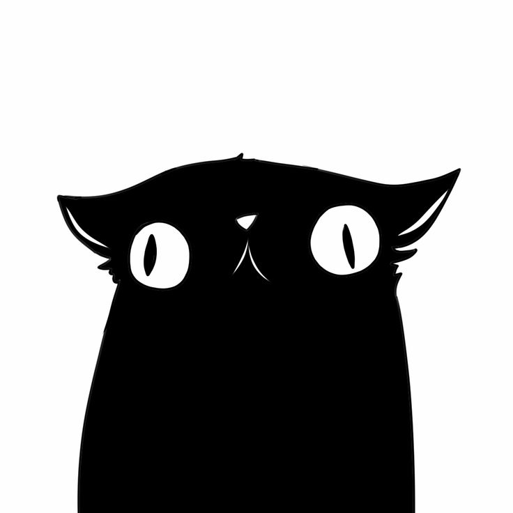 blackcat1233