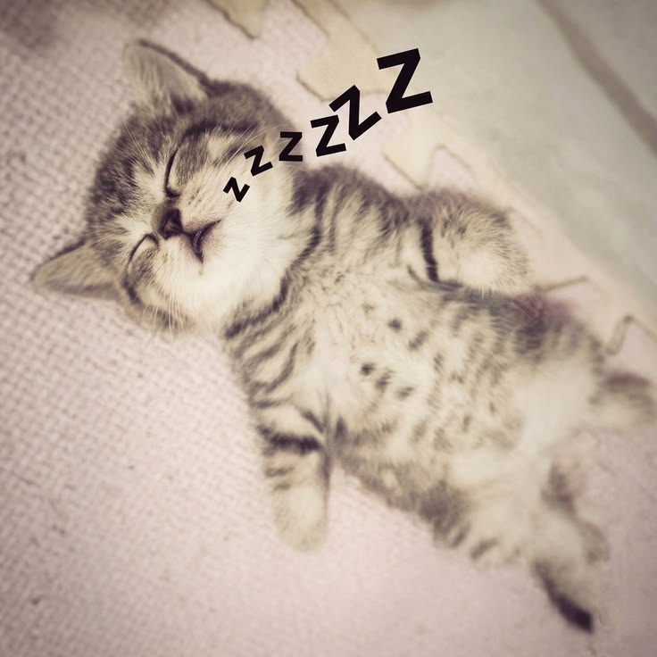 Zuzuzuzuzzu