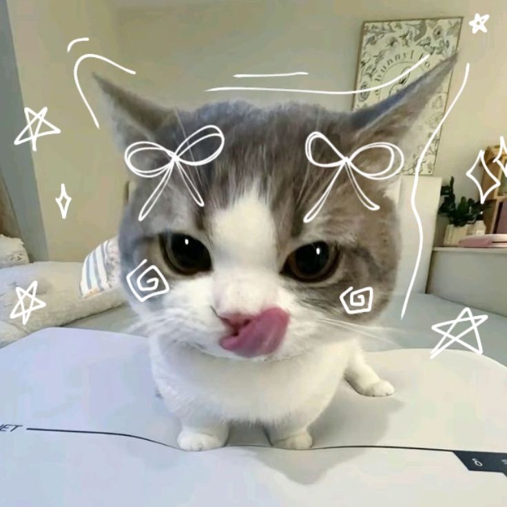 mitwab