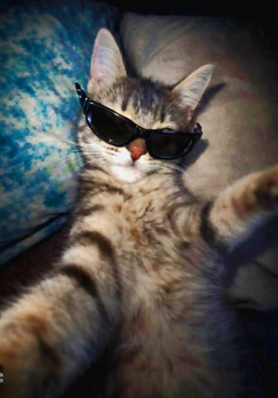 Kalpmerhemi