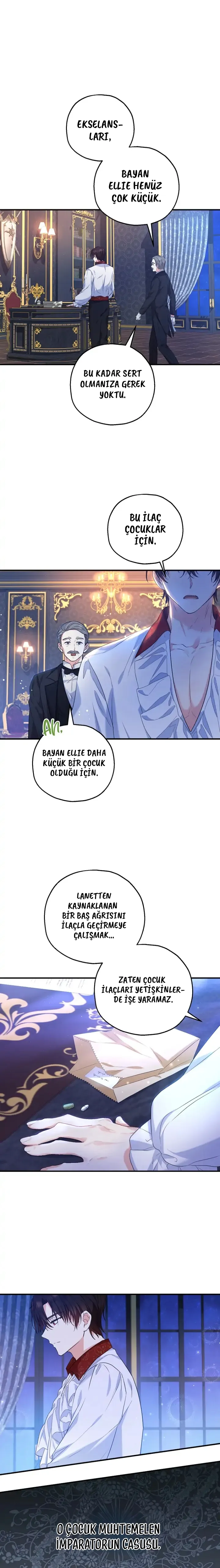 Dük'ün Sevgili Gelini 26. Bölüm - Sayfa 17