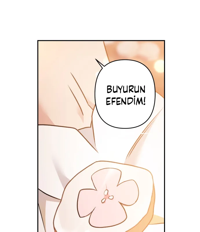 Heeran’ın Aşk Şarkısı 66. Bölüm - Sayfa 17