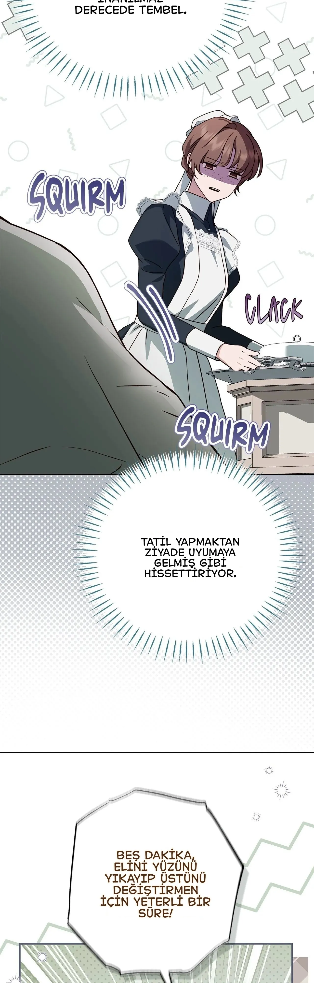 The Count’s Secret Maid 71. Bölüm - Sayfa 26