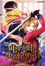 Return of the female knight
