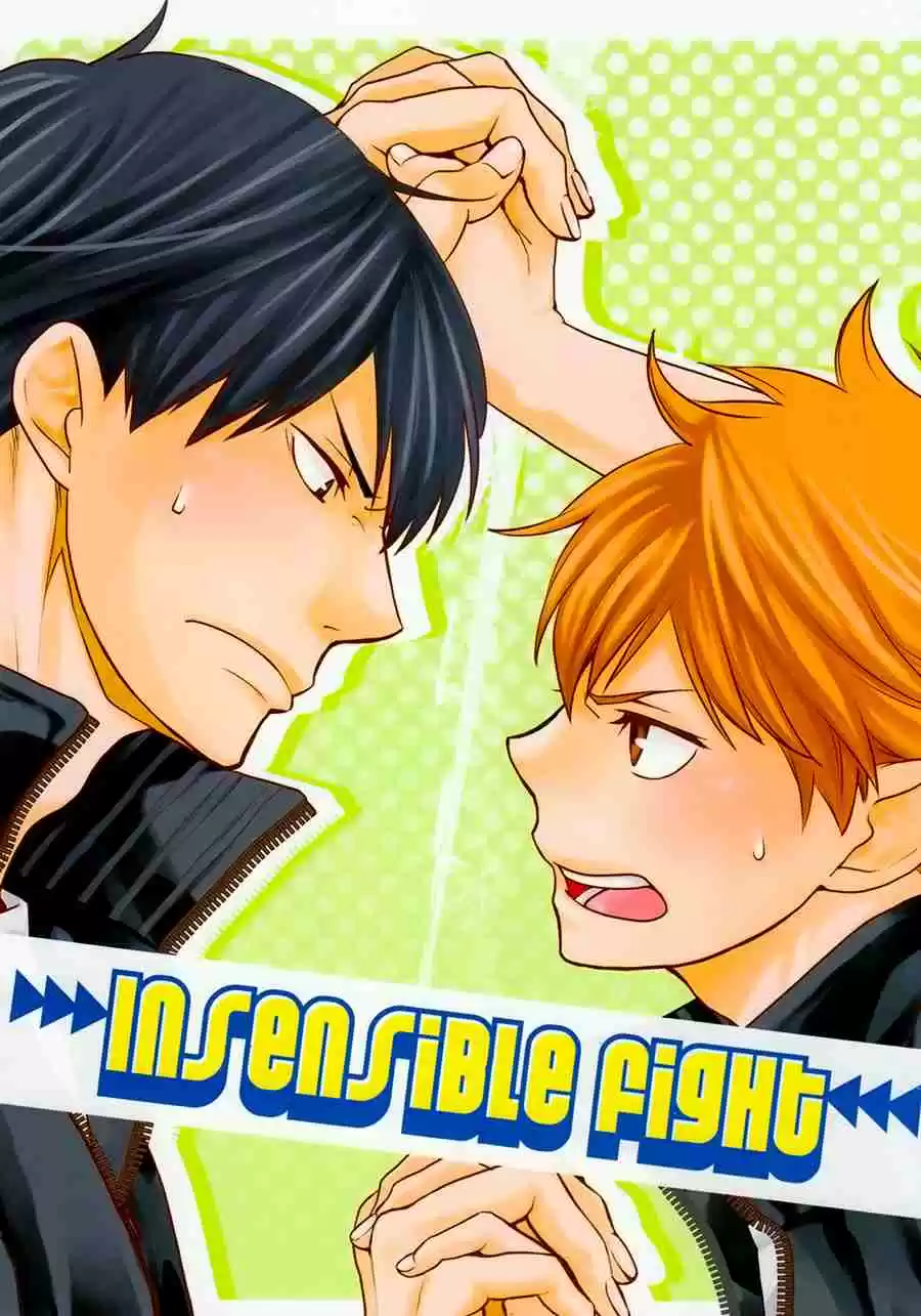 KageHina DJ | İnsensible Fight