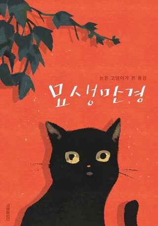 Bir kedinin masalı - Seinen webtoon kapak