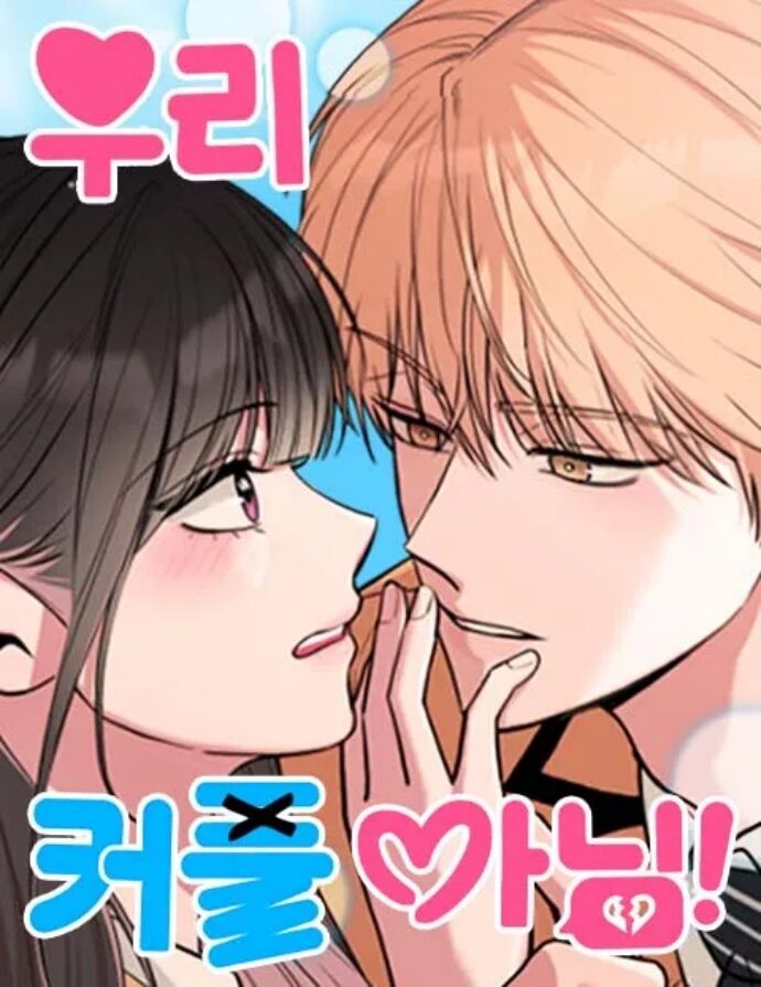 Biz Çift Değiliz! türkçe webtoon oku - kapak